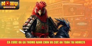 Cá Cược Đá Gà Thomo Xanh Chín Và Cực An Toàn Tại NOHU28