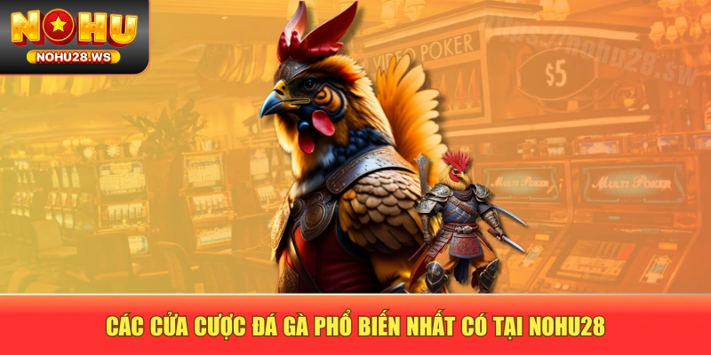 Các cửa cược đá gà phổ biến nhất có tại NOHU28 Các cửa cược đá gà phổ biến nhất có tại NOHU28