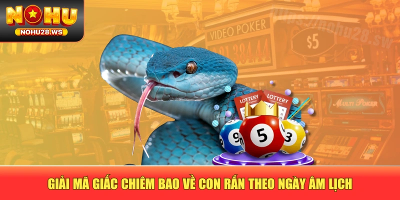 Giải mã giấc chiêm bao về con rắn theo ngày âm lịch Giải mã giấc chiêm bao về con rắn theo ngày âm lịch