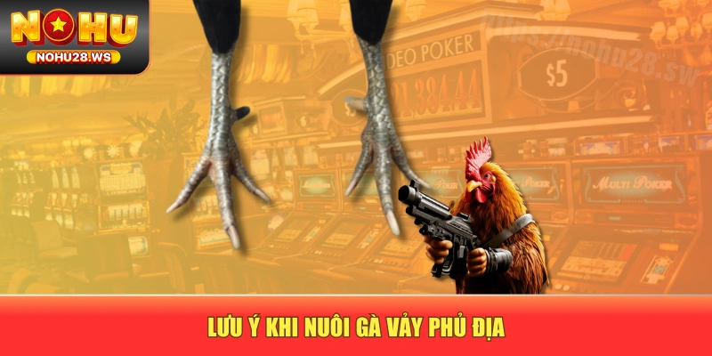 Lưu ý khi nuôi gà vảy phủ địa Lưu ý khi nuôi gà vảy phủ địa