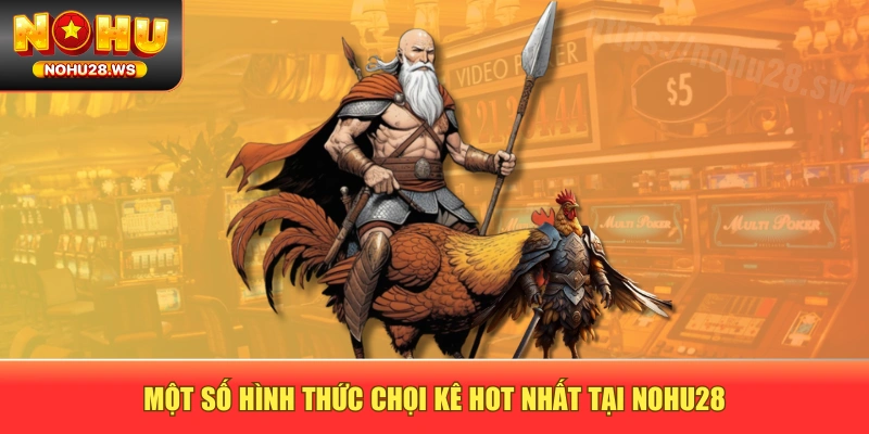 Một số hình thức chọi kê hot nhất tại NOHU28 Một số hình thức chọi kê hot nhất tại NOHU28