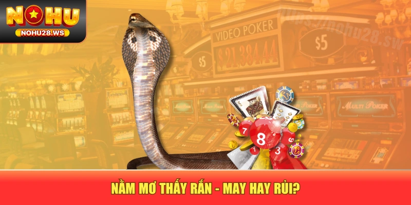 Nằm mơ thấy rắn - May hay rủi? Nằm mơ thấy rắn - May hay rủi?