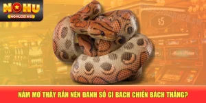 Nằm Mơ Thấy Rắn Nên Đánh Số Gì Bách Chiến Bách Thắng?