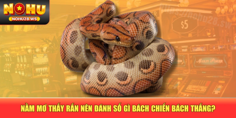 Nằm Mơ Thấy Rắn Nên Đánh Số Gì Bách Chiến Bách Thắng?