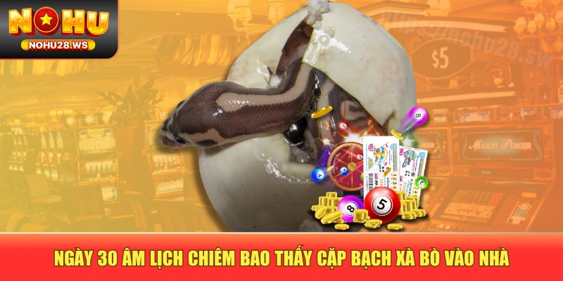 Ngày 30 âm lịch chiêm bao thấy cặp bạch xà bò vào nhà Ngày 30 âm lịch chiêm bao thấy cặp bạch xà bò vào nhà