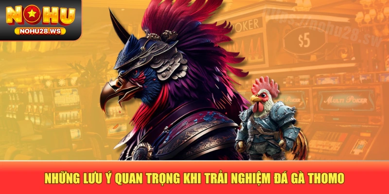 Những lưu ý quan trọng khi trải nghiệm đá gà Thomo Những lưu ý quan trọng khi trải nghiệm đá gà Thomo