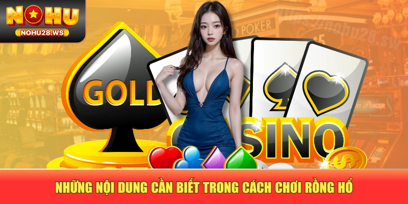 Những nội dung cần biết trong cách chơi rồng hổ Những nội dung cần biết trong cách chơi rồng hổ