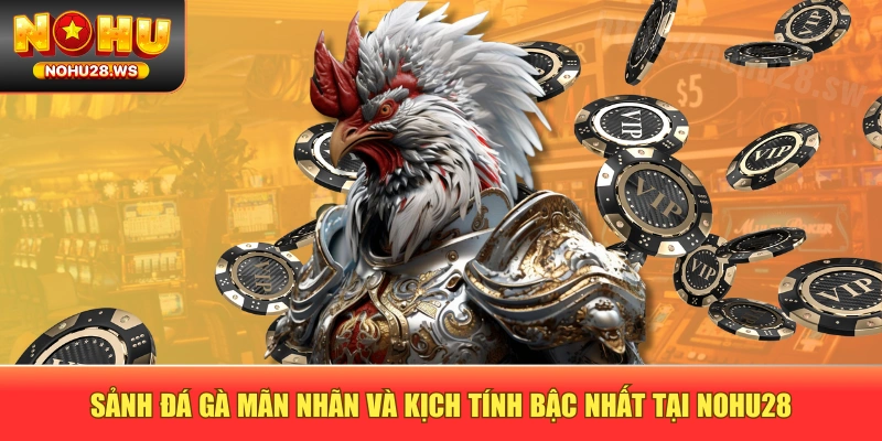 Sảnh Đá Gà Mãn Nhãn Và Kịch Tính Bậc Nhất Tại NOHU28 Sảnh Đá Gà Mãn Nhãn Và Kịch Tính Bậc Nhất Tại NOHU28