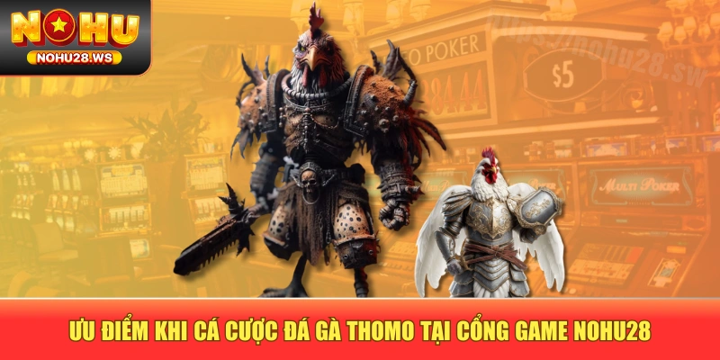 Ưu điểm khi cá cược đá gà Thomo tại cổng game NOHU28 Ưu điểm khi cá cược đá gà Thomo tại cổng game NOHU28