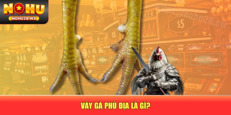 Vảy gà phủ địa là gì?