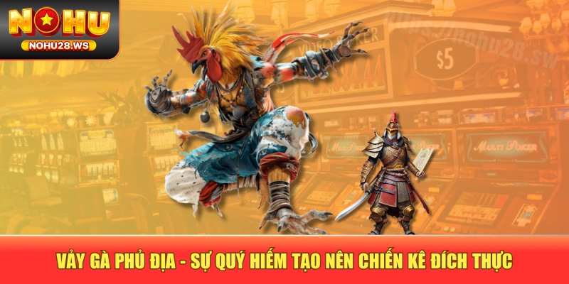 Vảy Gà Phủ Địa - Sự Quý Hiếm Tạo Nên Chiến Kê Đích Thực