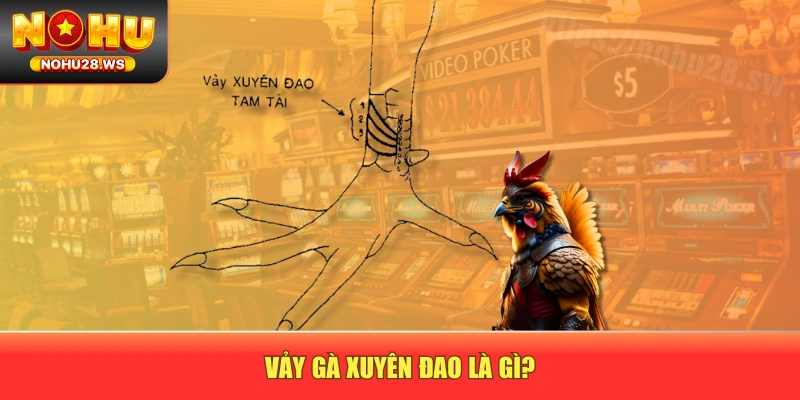 Vảy gà xuyên đao là gì? Vảy gà xuyên đao là gì?