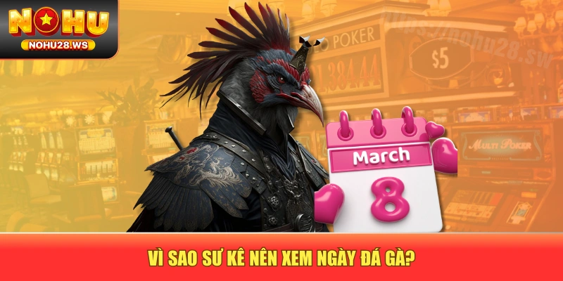 Vì sao sư kê nên xem ngày đá gà? Vì sao sư kê nên xem ngày đá gà?